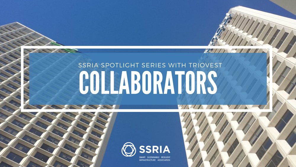 GBTN Spotlight Series: Triovest Realty Advisors Project Collaborators